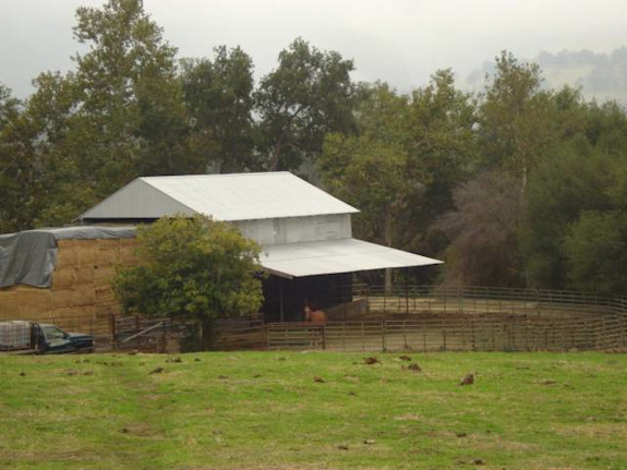 3000 Ac Ranch - Exeter, Ca.