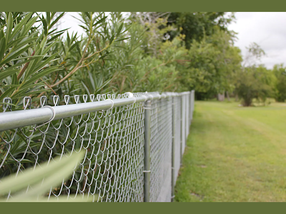 Established Business with Strong Growth Potential