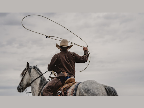 Co for Sale with Proven Profits