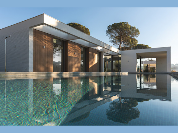 Profitable Luxury Home Development Co.