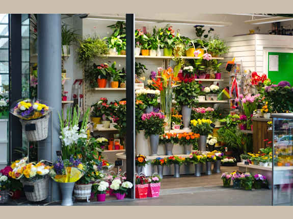 Price Reduced / Floral Shop with Great Cash Flow