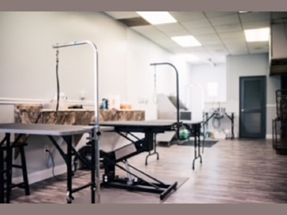 Local Pet Grooming Business for Sale in NY