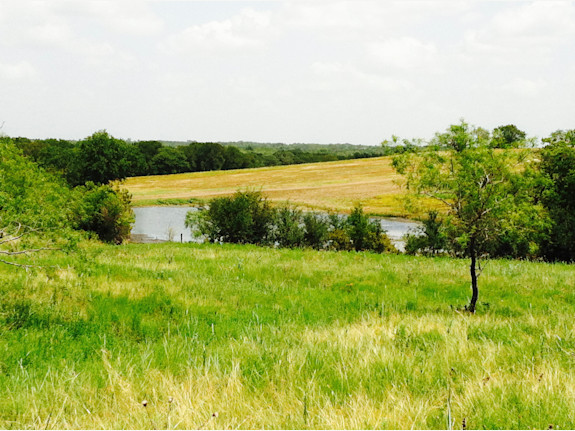 Ellis Co., Texas Land Offering High Profit Gains