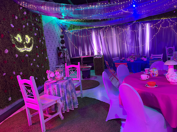 The Alice Experience