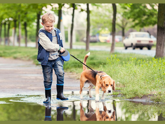 Highly Profitable Nice Pet Care Business in Charleston for Sale