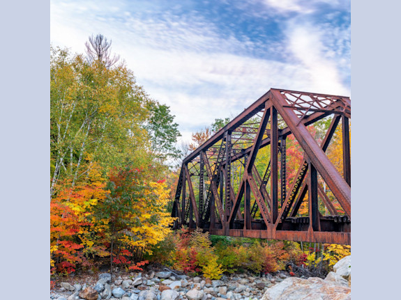 General Vet Practice with Specialty Services in NH