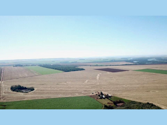 Agriculture Farm in Alto Paraná, Paraguay