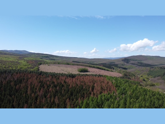 10 Hectare Mining Area at the Mátra Mountain