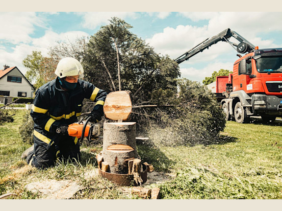 Tree Service With Real Estate Investment