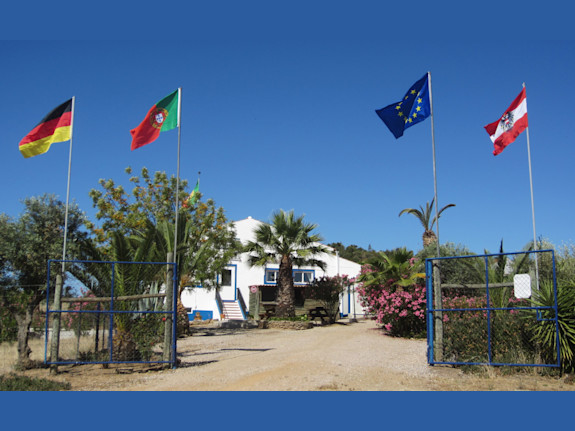 Property with Great Tourist Potential/ Alqueva