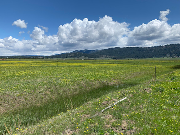 Owner Carry Land - 20-Acres In Idaho!