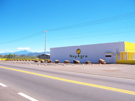 Fresh Produce Packer/Exporter Nayarit Mexico