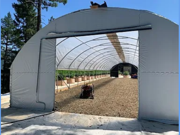 Cannabis Grow--California