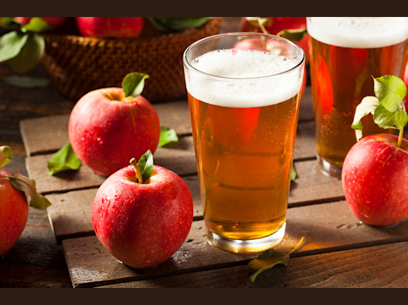 Alcoholic Craft Beverage Company For Sale