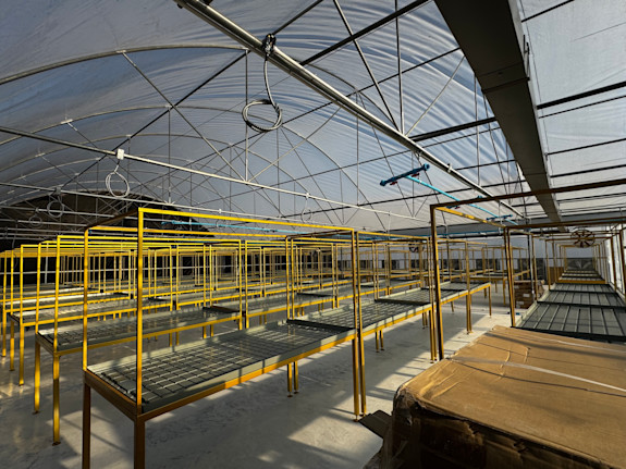 Urgent Sale Greenhouse Cultivation Farm