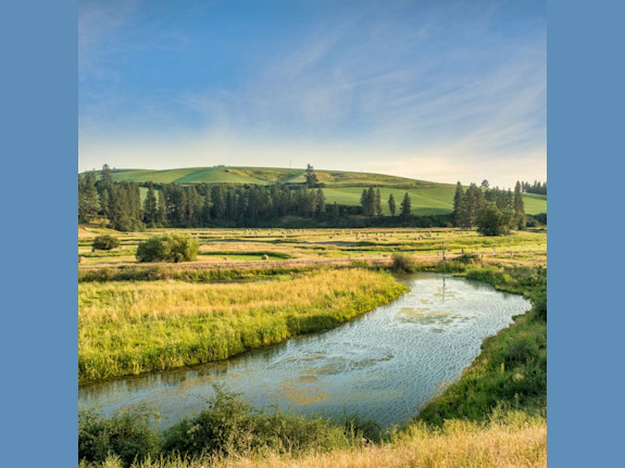 TriCities Sm Animal Clinic & RE - Motivated Seller