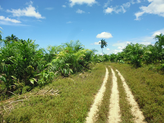 Excellent Opportunity To Selfsupporting Farm