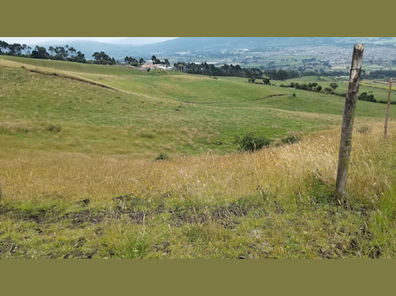 Farm For Sale In Ecuador