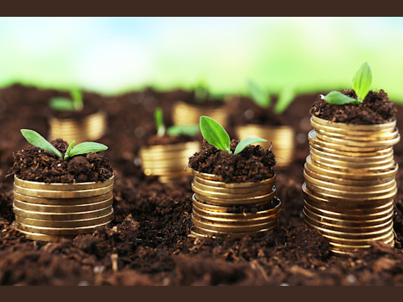 Seeking Extensive Partners For Business