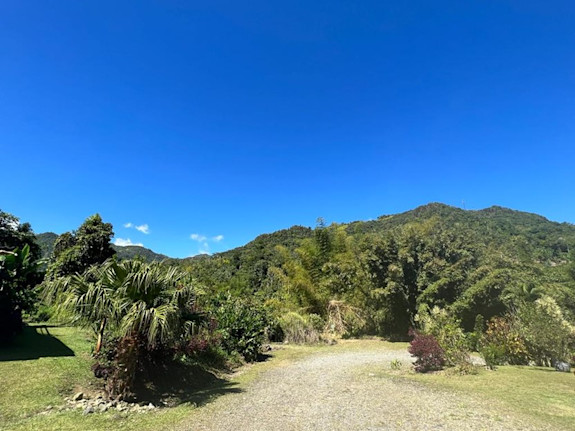 Untapped Potential of a Coffee Paradise