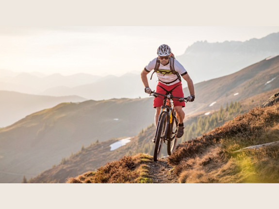 Highly Profitable Metro Denver Bicycle Shop