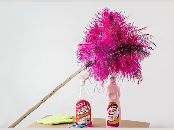 Residential Cleaning Franchise for Sale in NY