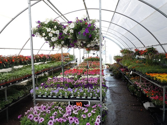 Florist Business For Sale in New Jersey
