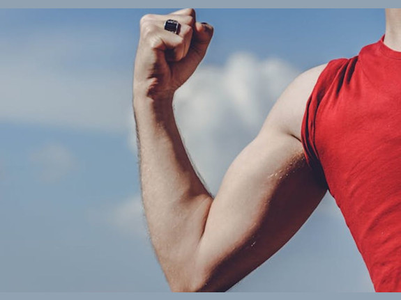 Essex County Vitamin & Health Products Provider