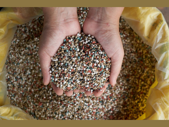 Global Network Of Agricultural Products