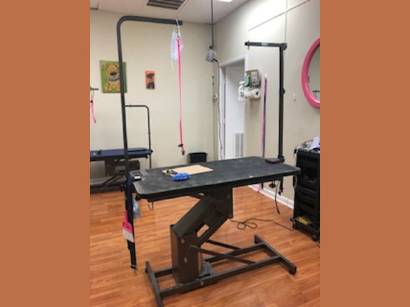 Local Pet Grooming Salon for Sale in AL
