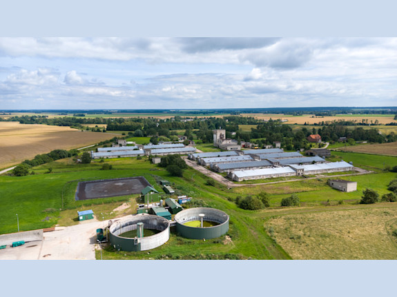 Sustainable & Profitable Intensive Pig Farming Com