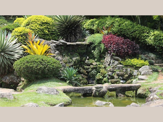 Luxury Landscaping & Swimming Pool Contractor