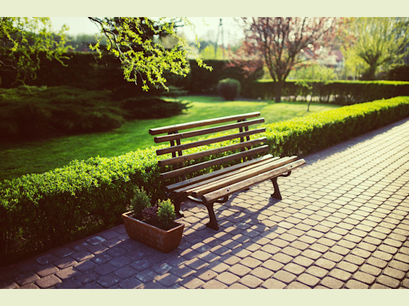 Full Service Plant Nursery & Maintenance  with R/E