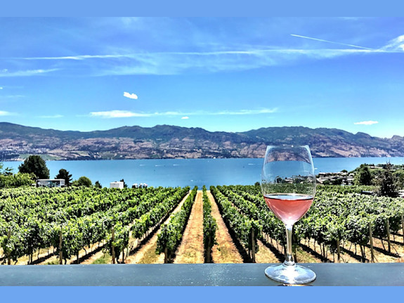 Residential Duct Cleaning Business - Kelowna,BC