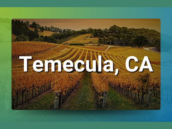 Thriving CA Chiropractic Clinic for Sale