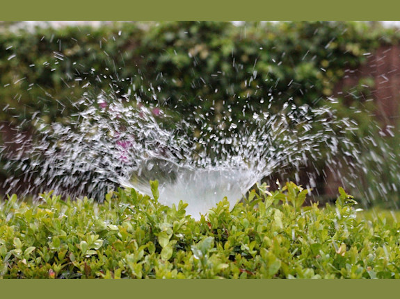 Price Reduced  Irrigation & Landscaping Company