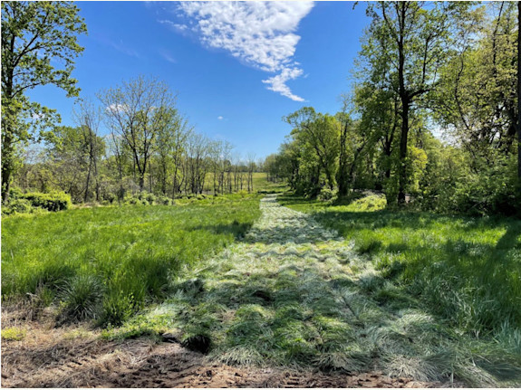 Niche Equipment Rental Company | $1.0m + EBITDA