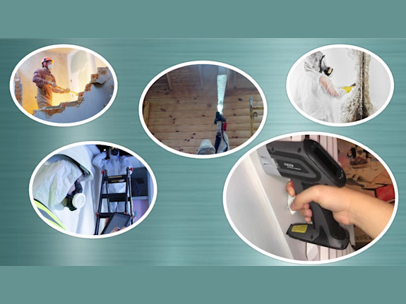 Mold Remediation & Demo Biz with Stability