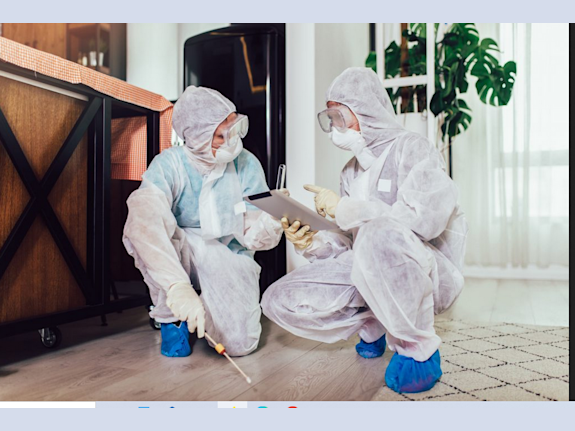 Pest Control Businesses Wanted Fast Closings