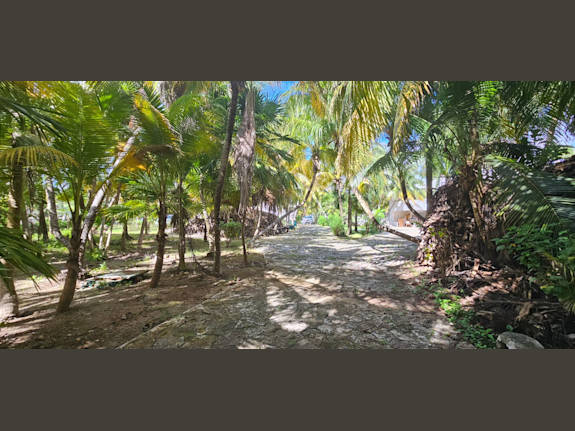 Land in Front of the Ocean