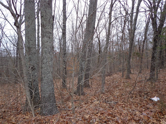 Lot in the Desirable Community - Hillsboro, MO