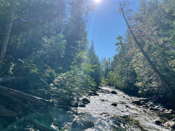 Creek Front Investment Opportunity