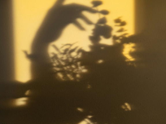 Growing Female Fashion Brand - Online & Wholesale