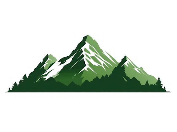 Shareholder Activist