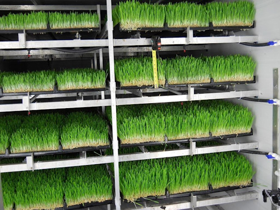 Acquire  Farmory and Reap the Harvest