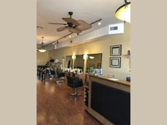 Established Hair Salon in Nassau County, NY