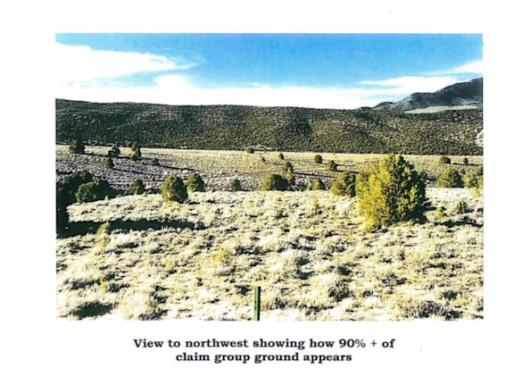 Eastern Nevada Gold Placer