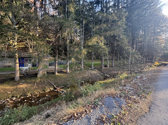 1-1 Home with Pool House on 3.58 Acres WV