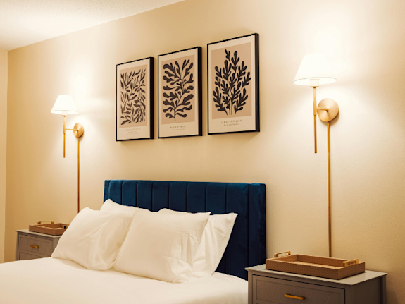 Wireless Home Lighting eCommerce DTC Brand