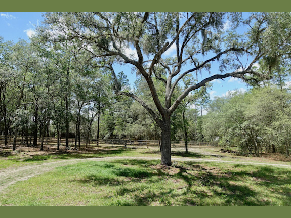 Ocala Mini-Farm Compound